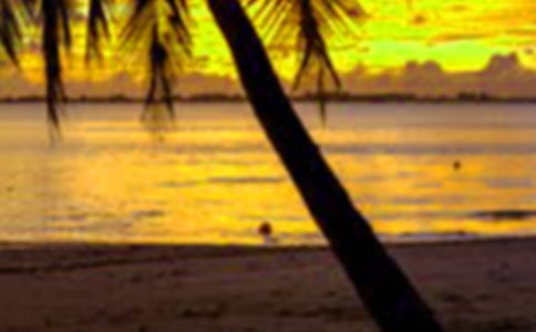 假期生活的作文精品(8篇)