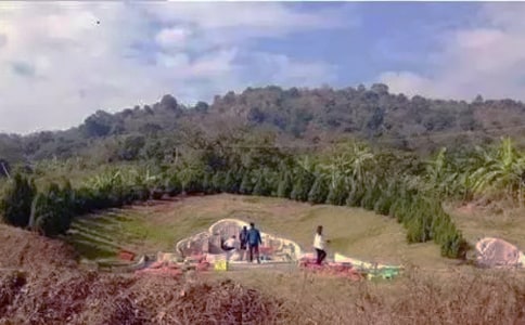 扫墓的作文600字合集8篇