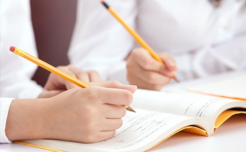 有关老鹰捉小鸡作文300字汇编九篇