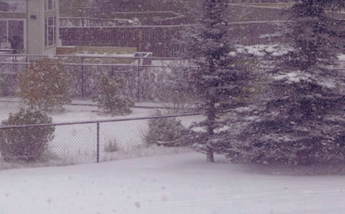 冬日的阳光作文【优】