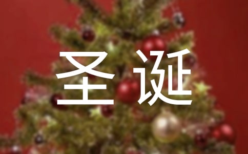 三年级圣诞节作文300字3篇【精华】
