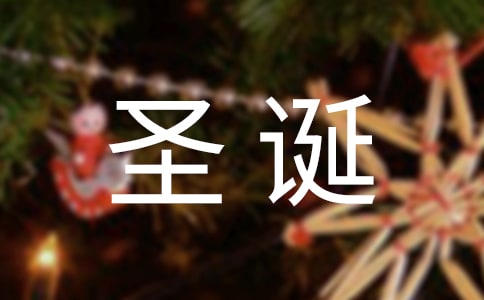 (优)三年级圣诞节作文