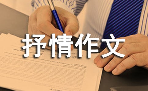 抒情作文600字(合集5篇)