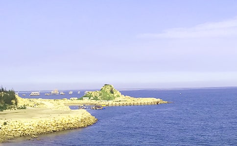 写大海的作文精选（10篇）