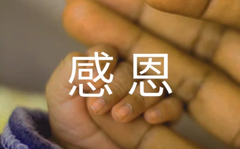 (热门)感恩父母作文3篇