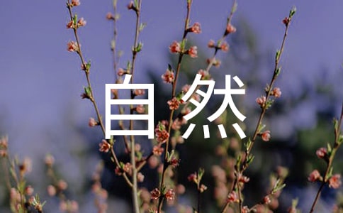 大自然作文汇编【7篇】
