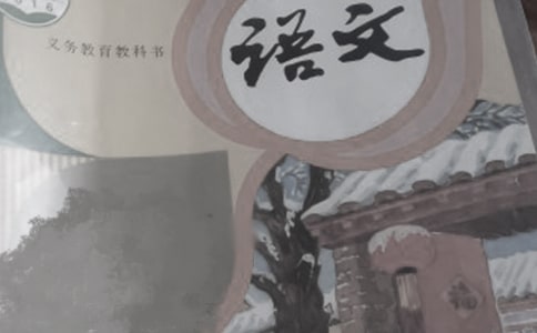 语文教案【集合9篇】