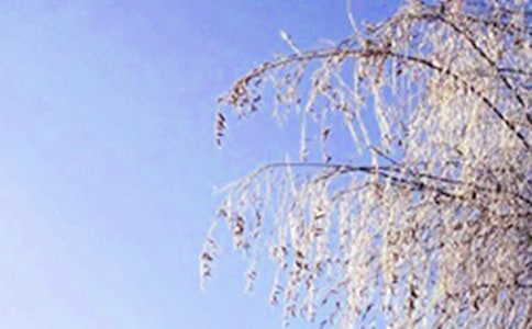 温暖的冬天作文（合集）