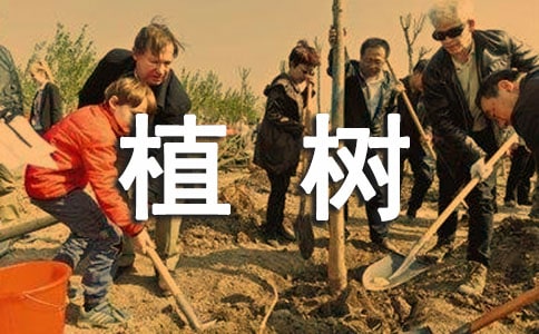 植树的作文9篇【精华】