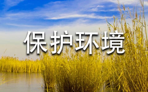 实用的保护环境的作文10篇（通用）