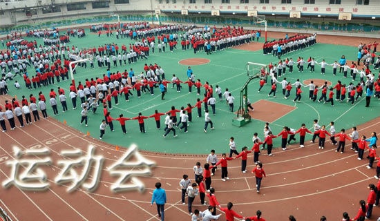 实用的优秀运动会作文300字