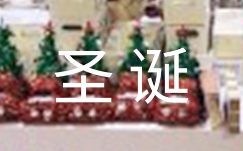三年级圣诞节作文300字集合7篇