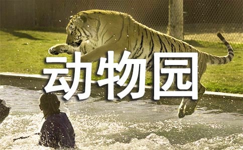 家庭的动物园作文8篇[合集]