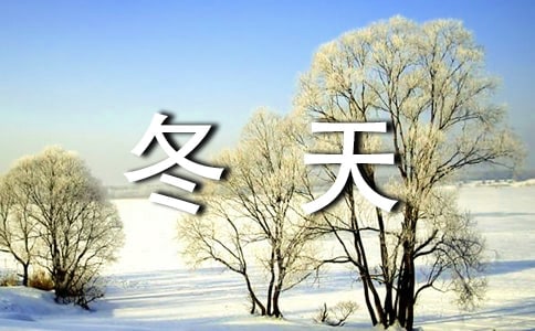描写冬天景色的作文（常用15篇）