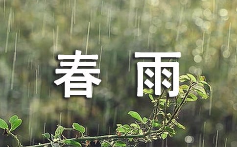 春雨的作文(优秀4篇)