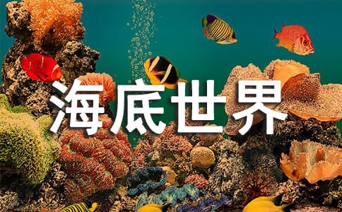 四年级海底世界作文300字9篇