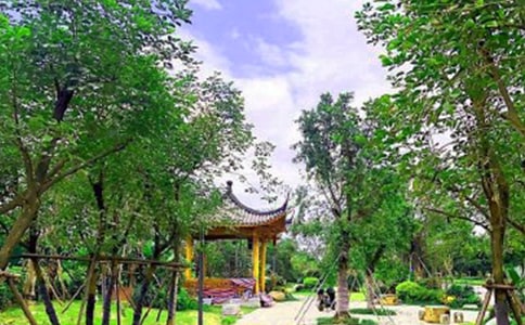 公园变化的作文(常用9篇)