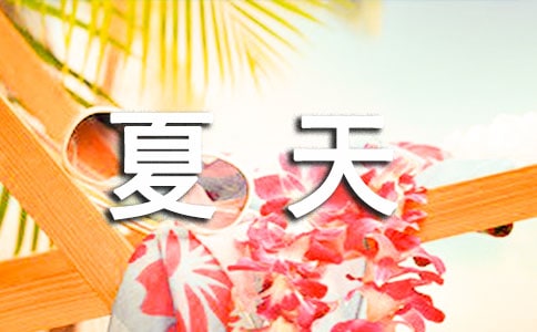 那年夏天作文集锦14篇