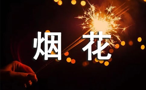 实用的美丽的烟花作文300字