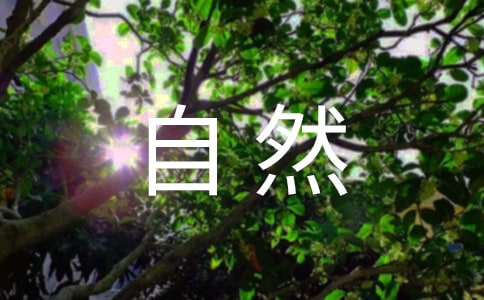 (精品)实用的大自然的作文300字
