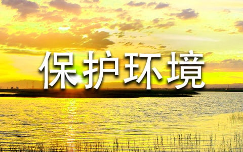 保护环境作文4篇【精华】