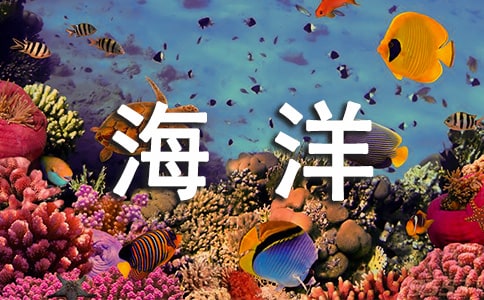 【必备】游玩海洋世界作文9篇