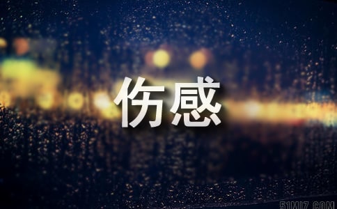 2026年精选伤感个性句子汇总76条