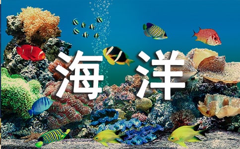 海洋世界作文（汇总8篇）