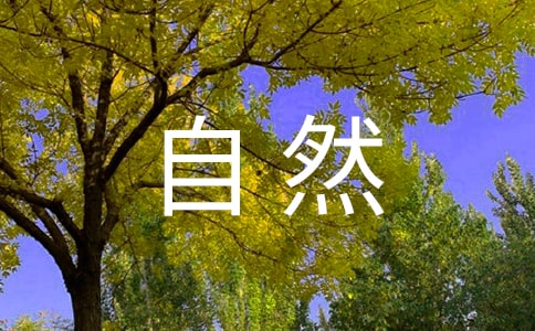 大自然的作文300字锦集【9篇】
