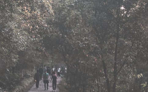 一年级登山的日记