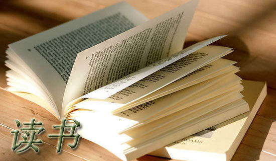 读书作文300字范例[4篇]