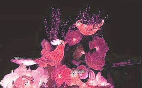 一年级看花灯日记
