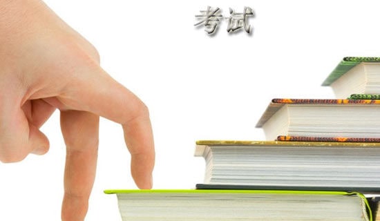 （必备）考试作文300字