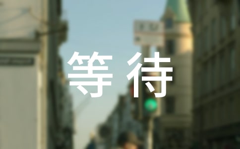 实用的等待的作文3篇（精选）