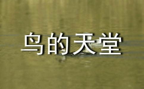 《鸟的天堂》教案集锦15篇