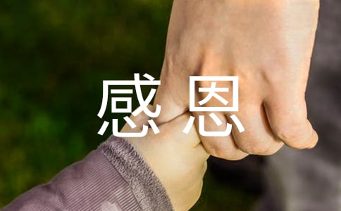 (热)感恩父母的作文3篇
