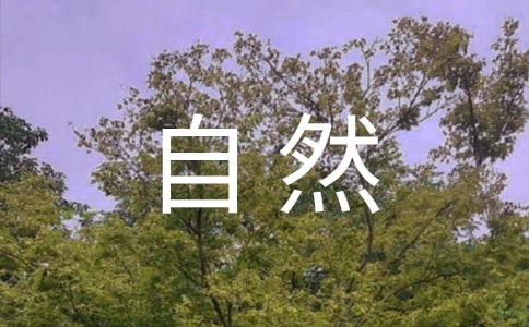 大自然的作文300字【集合6篇】