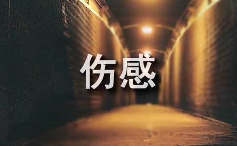 2026年伤感个性句子汇总69句