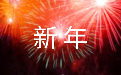 新年的的作文锦集（3篇）