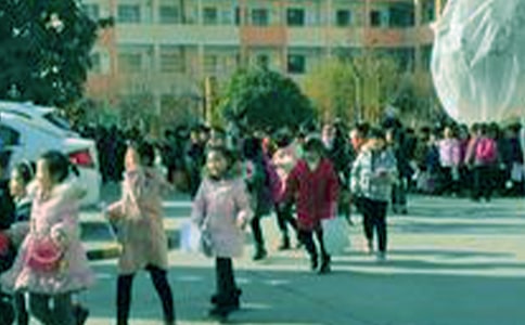 精选描写的小学生作文300字汇编5篇