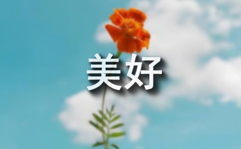 发现美好的作文400字