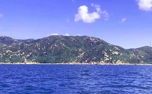 大海作文（集锦4篇）