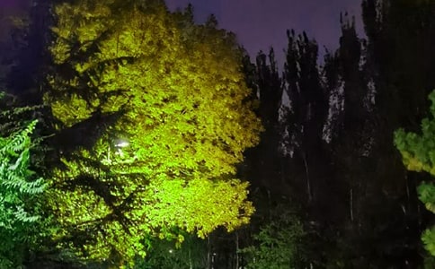 简短的温暖的晚安QQ问候语大汇总76句