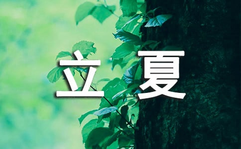 立夏作文600字十篇