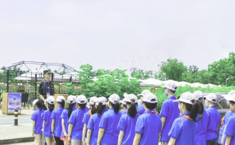 【合集】夏令营的作文300字9篇