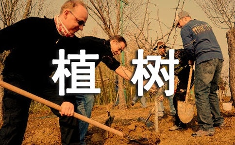 去植树作文精品(7篇)