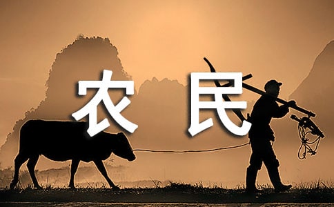 农民作文500字3篇