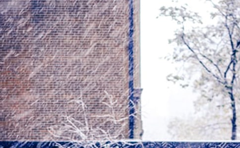 寒假下雪日记
