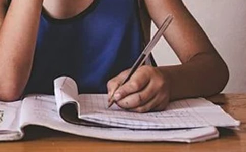 （必备）实用的描写树作文300字6篇