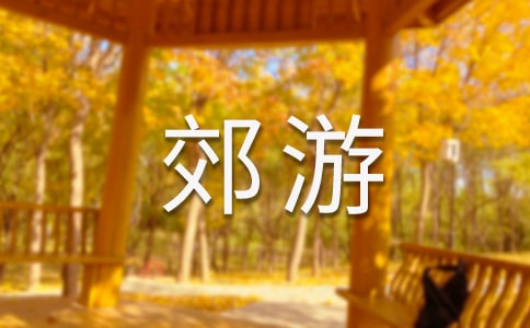 去郊游作文（常用10篇）